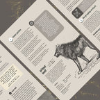 Thorns of an Ancient Seal Digital PDF | System-Agnostic Forest Horror TTRPG Adventure