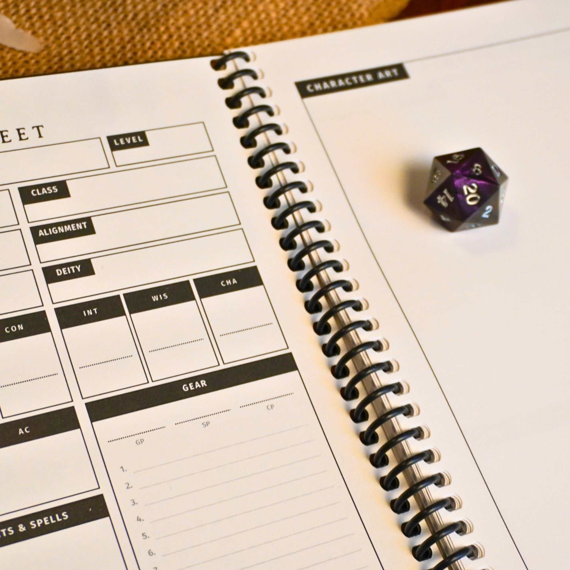 Dungeon Codex Shadowdark RPG Character Journal